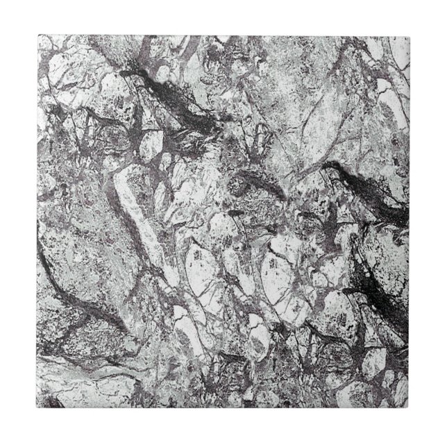 Carreau Marbre gris (Devant)