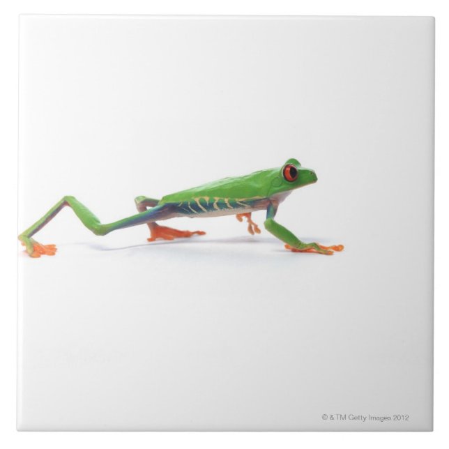 Carreau Marche observée par rouge de grenouille d'arbre (Devant)