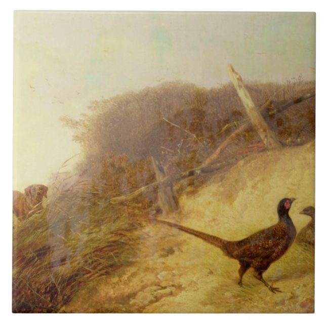 Carreau Marche vers le haut des faisans sur le ęr octobre (Devant)