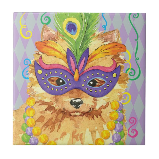 Carreau Mardi gras Pomeranian (Devant)