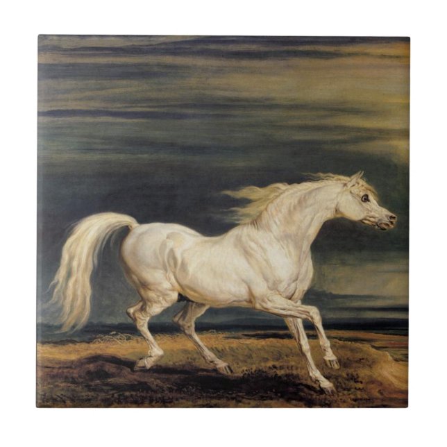 Carreau Marengo le cheval blanc (par James Ward) (Devant)