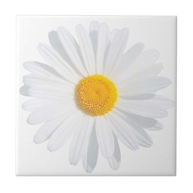 Carreau marguerite blanche (Devant)