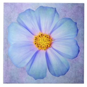 Carreau Marguerite bleue et violette turquoise sur