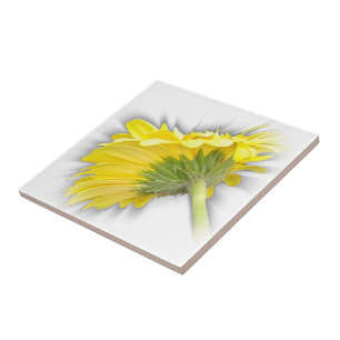 Carreau marguerite jaune
