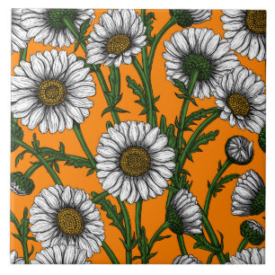Carreau Marguerites sur orange