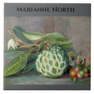 Carreau Marianne North Custard Peinture à la pomme