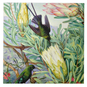 Carreau Marianne North, Honeyflowers et Honeysucers,