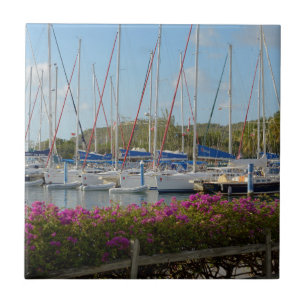 Carreau Marina de Virgin Gorda