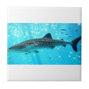 Carreau Marine Eau Chic Cool élégant Baleine Bleue Requin