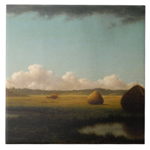 Carreau Martin Johnson Heade - Douches d'été