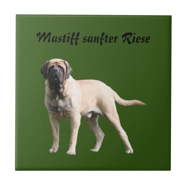 Carreau Mastiff Vacances Mastiff Anglais (Devant)