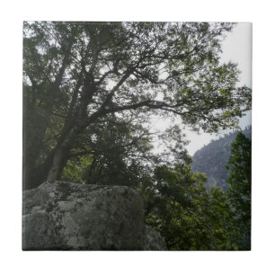 Carreau Matin sur le sentier à Vernal Falls à Yosemite