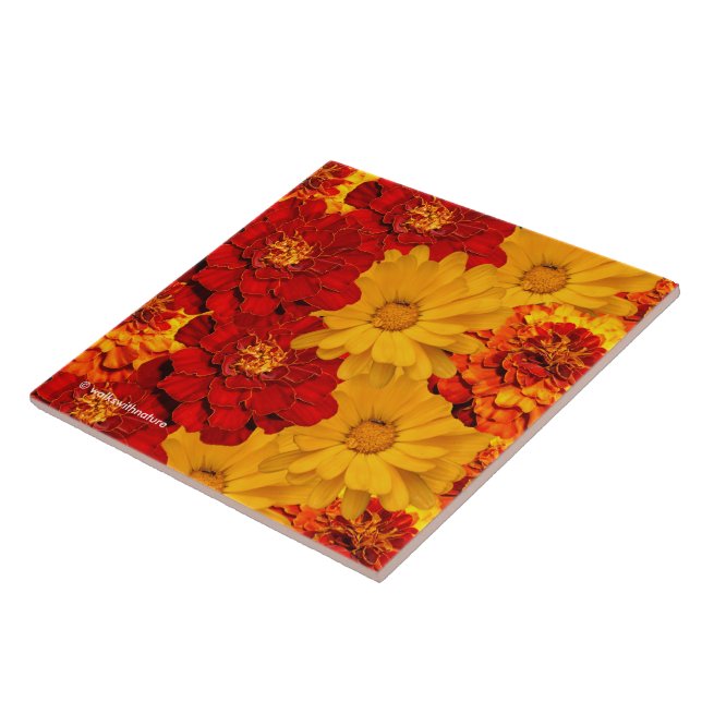 Carreau Médaille des Marigolds rouge jaune et orange (Côté)