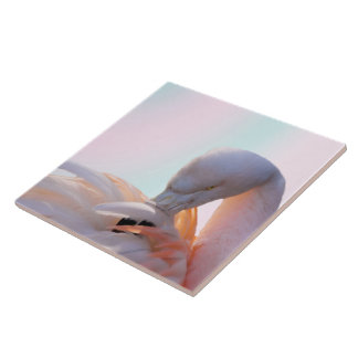 Carreau Menthe de rose de Flamant rose