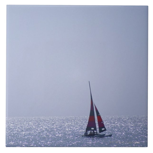 Carreau Mer 23 (Devant)