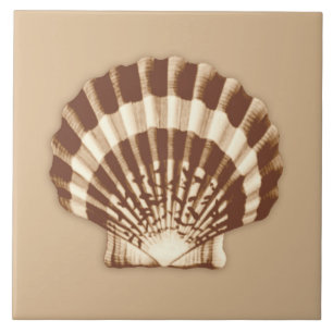 Carreau Mer Shell - brun et beige