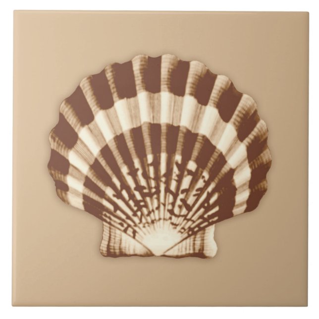 Carreau Mer Shell - brun et beige (Devant)
