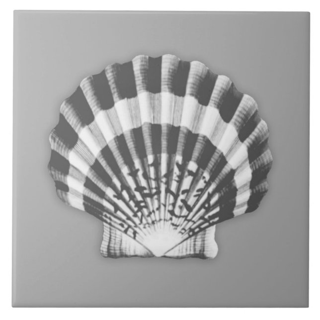 Carreau Mer Shell - gris et blanc de charbon de bois (Devant)