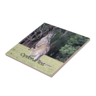 Carreau Mère Kangaroo avec bébé Joey dans sa poche