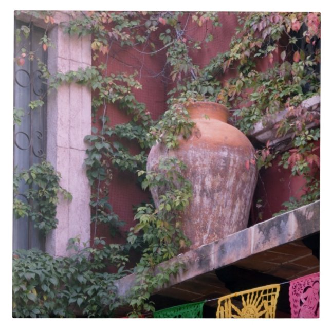 Carreau Mexique, San Miguel de Allende, Ivy, pot d'argile, (Devant)