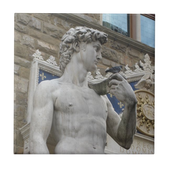 Carreau Michel-Ange, la statue de David en Italie (Devant)
