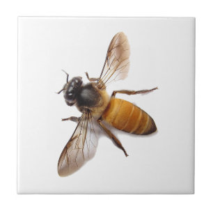 Carreau Miel Bee