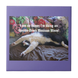 Carreau Mignon Chat Smoking Tuxedo Mexicain chats