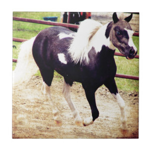 Carreau Mini cheval à la liberté