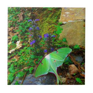 Carreau Mite de Luna verte