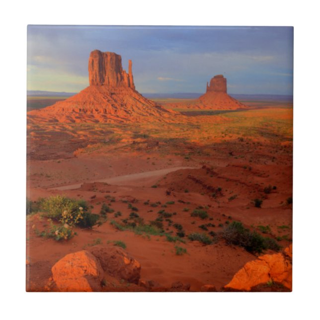 Carreau Mittens, vallée du Monument, AZ (Devant)