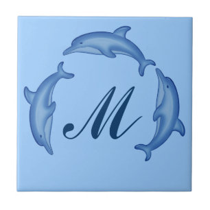 Carreau Modèle Dolphin Arc Monogramme