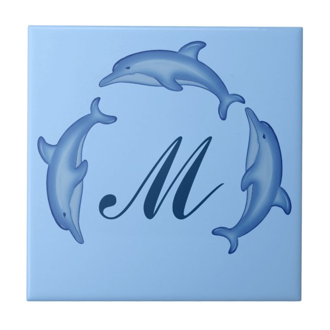Carreau Modèle Dolphin Arc Monogramme (Devant)