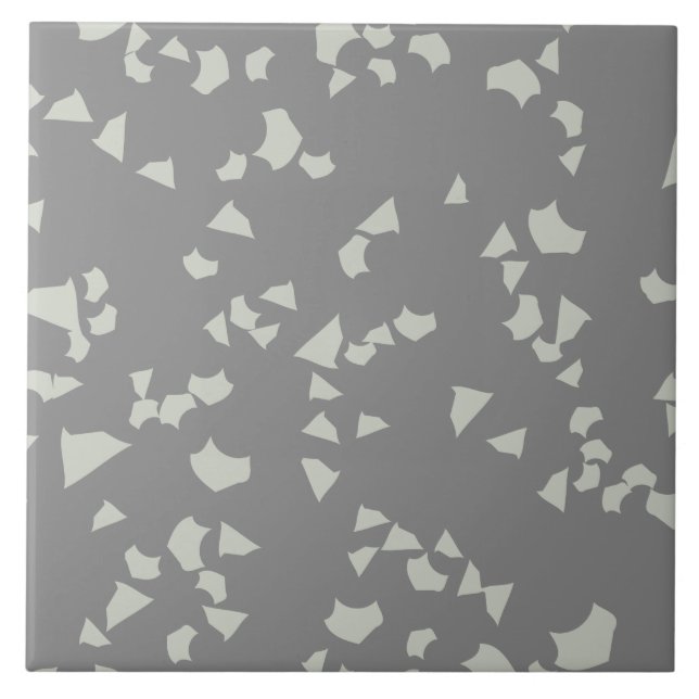 Carreau Moderne Simple Terrazzo Gris Blanc (Devant)