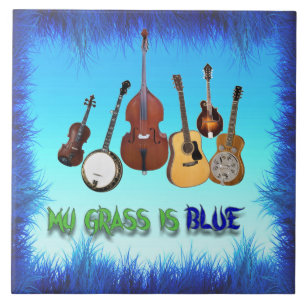 CARREAU MON GRAS EST BLEU