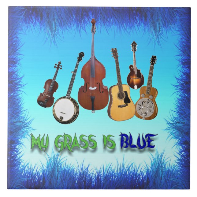 CARREAU MON GRAS EST BLEU (Devant)