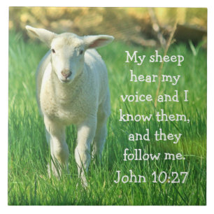 Carreau Mon Mouton Entend Ma Voix, La Bible Verse Jean 10: