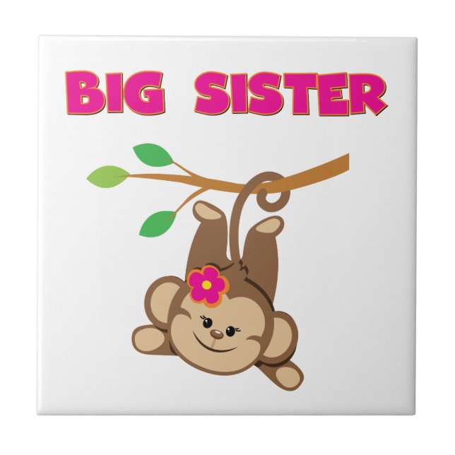 Carreau Monkey Big Sister (Devant)