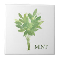 Monnaie Herbe Vert Cuisine Thyme Sage Vert