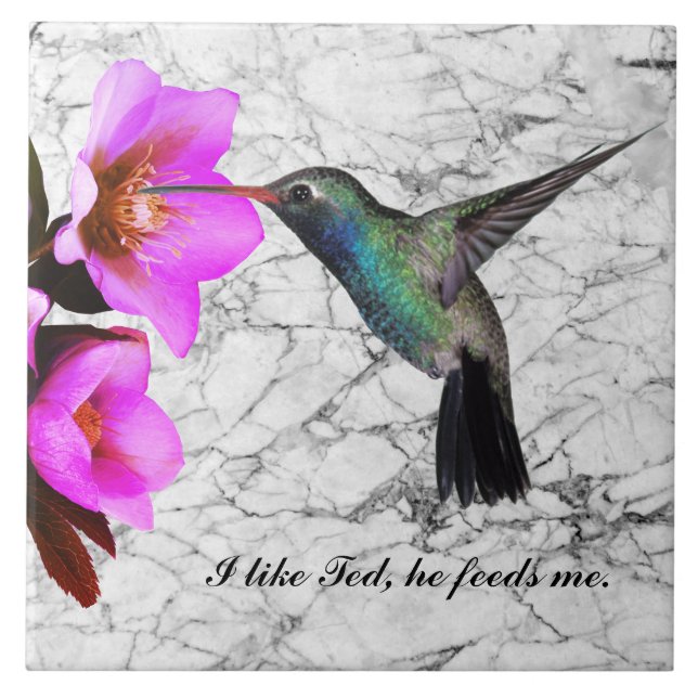 CARREAU MONOGRAM HUMMINGBIRD (Devant)
