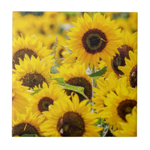 Carreau Monogramme de tournesol personnalisé 