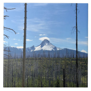 Carreau Mont Washington, OR