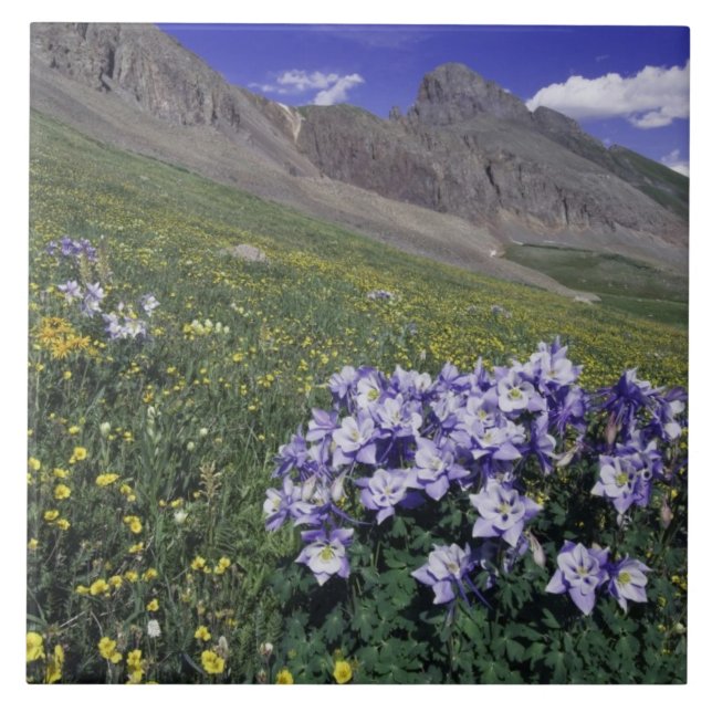 Carreau Montagnes et fleurs sauvages dans une prairie alpi (Devant)