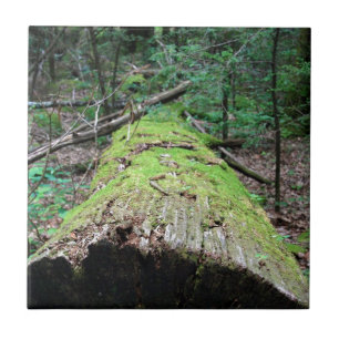 Carreau Montagnes fumeuses