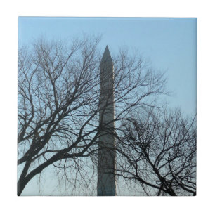 Carreau Monument de Washington dans le paysage d'hiver I
