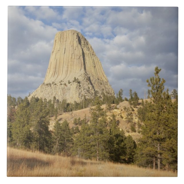 Carreau Monument national de Devils Tower (Devant)