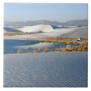 Carreau Monument national de White Sands, Dunes transversa
