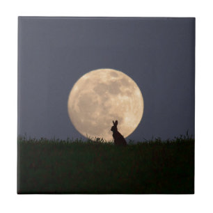 Carreau Moongazer.JPG