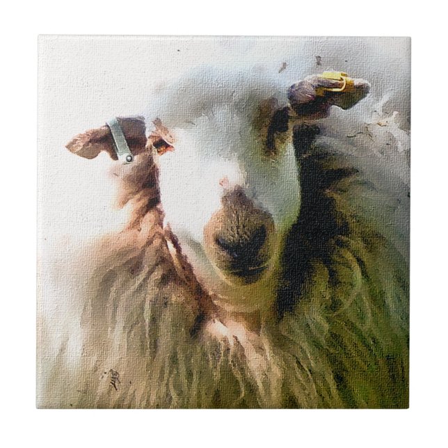 CARREAU MOQUETTE (Devant)