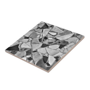 Carreau Mosaic Terrazzo Gris Blanc Noir Motif