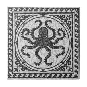 Carreau Mosaïque ancienne romaine noir et blanc avec pieuv